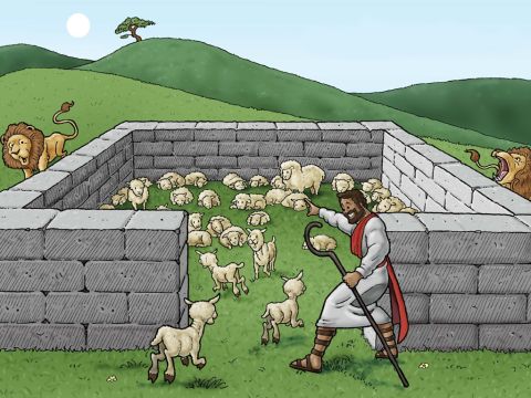 Das ist der gute Hirte.<br/>Er bringt seine Schafe in den Schafstall, wo sie sicher sind. Im Schafstall kann der Hirte sie vor aller Gefahr retten. – Folie 2