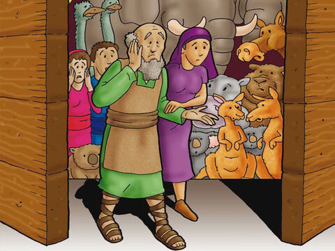 Schließlich forderte Gott Noah und seine Familie auf, in die Arche zu gehen. Sie gehorchten Gott. Er forderte auch zwei Tiere jeder Art auf, mit Noah in die Arche zu steigen. Auch die Tiere gehorchten Gott. Als Noah und seine Familie in der Arche sicher waren, griff Gott nach unten und schloss die Tür ganz fest. – Folie 4