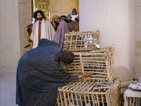 Nachdem Jesus triumphierend in Jerusalem eingezogen war, betrat er den Tempelhof. – Folie 1