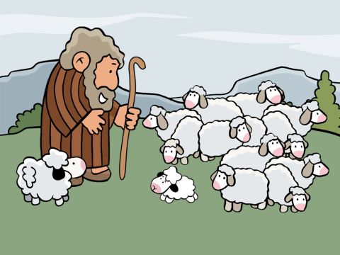 „Stell dir vor, du wärst ein Hirte und hättest 100 Schafe.“ – Folie 2