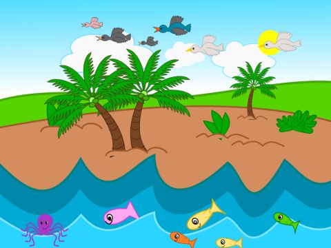 Dann sprach Gott: „Das Wasser werde voll von viel Leben, und Vögel sollen über der Erde fliegen.“ So schuf Gott all die vielen Lebewesen im Meer und alle Arten von Vögeln, die in der Luft fliegen. Und Gott sah, dass es gut war.<br/>Gott segnete alle Lebewesen im Meer und die Vögel und gebot ihnen, noch viele Babys zu bekommen.<br/>Es ward Abend, und es ward Morgen. Dies war der fünfte Tag. – Folie 6