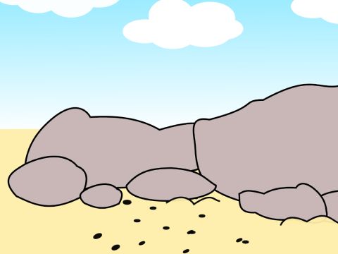 Einiges fiel auf felsigen Boden. – Folie 5