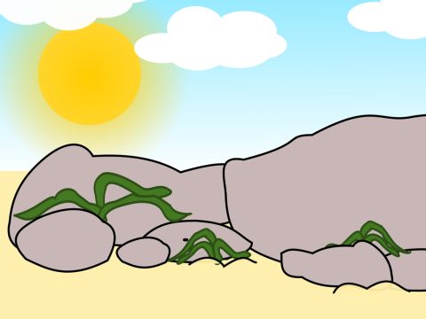 Als aber die Samen aufgingen, verdorrten die Pflanzen unter der brennenden Sonne, weil ihnen die Feuchtigkeit fehlte. – Folie 6