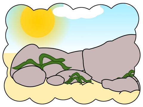 „Die auf felsigem Boden sind wie diejenigen, die Gottes Wort hören und gehorchen wollen. Aber sie haben keine Wurzeln. Sie glauben eine Zeit lang, aber in der Zeit der Prüfung fallen sie ab.“ – Folie 13