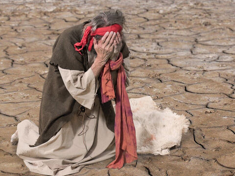 Elia weigerte sich aufzugeben. Gott hatte versprochen, Regen zu schicken, und Gott hält seine Versprechen. Er betete ein viertes Mal. – Folie 12