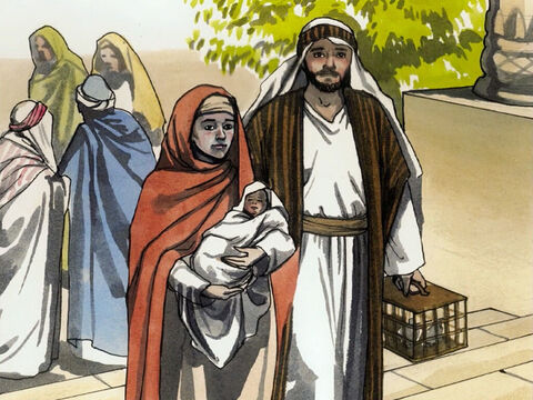 Und als die Tage ihrer Reinigung nach dem Gesetz Moses vollendet waren, brachten Maria und Josef Jesus nach Jerusalem hinauf, um ihn dem Herrn darzustellen – wie im Gesetz des Herrn geschrieben steht: »Alle männliche Erstgeburt soll dem Herrn heilig heißen « – – Folie 1