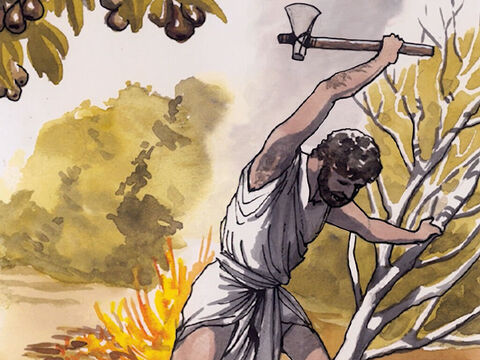 Schon ist aber die Axt an die Wurzel der Bäume gelegt; jeder Baum nun, der nicht gute Frucht bringt, wird abgehauen und ins Feuer geworfen. – Folie 9