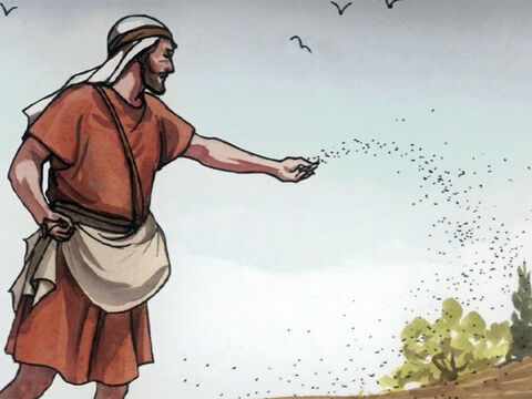 und indem er säte, fiel einiges an den Weg, – Folie 4