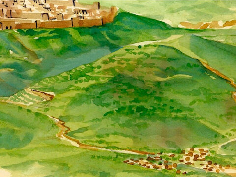 Und als sie sich Jerusalem näherten und nach Betfage kamen, an den Ölberg, – Folie 1