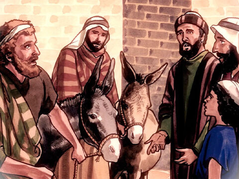 Und wenn jemand etwas zu euch sagt, so sollt ihr sprechen: Der Herr braucht sie, und sogleich wird er sie senden. Dies aber ist geschehen, damit erfüllt wurde, was durch den Propheten geredet ist, der spricht: – Folie 3