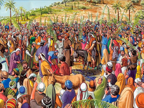 Die Volksmengen aber, die vor ihm hergingen und nachfolgten, riefen und sprachen: Hosanna dem Sohn Davids! Gepriesen sei, der da kommt im Namen des Herrn! Hosanna in der Höhe! – Folie 7
