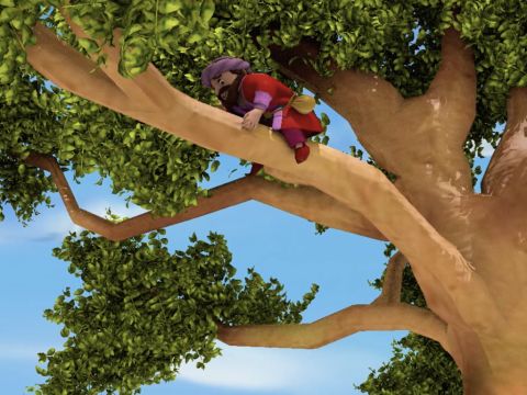 … lief er voraus und kletterte auf einen Maulbeerfeigenbaum, damit er Jesus sehen konnte. – Folie 6