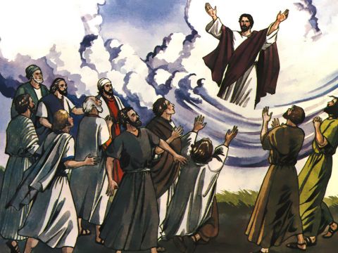 „Viele Tage lang wurde er von denen gesehen, die mit ihm von Galiläa nach Jerusalem gereist waren. Sie sind jetzt seine Zeugen für unser Volk.“ – Folie 13