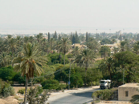 Die Stadt der Palmen – das moderne Jericho.<br/>Die Dattelpalme (Phoenix dactylifera).<br/>Die Dattelpalme ist die Palme der Bibel, nicht die Kokospalme der feuchten Tropen. Es ist ein wunderbarer Baum der Halbwüsten, Oasen und Flussufer im Nahen Osten und darüber hinaus. Die Palme kommt sowohl im Alten als auch im Neuen Testament vor und lieferte mit ziemlicher Sicherheit den „Honig“ in der Verheißung „ein Land, in dem Milch und Honig fließen“. Obwohl wir zum Beispiel aus Simsons Rätsel wissen, dass Honig von Bienen weit verbreitet war, war es eine süße, zuckerhaltige Flüssigkeit aus Datteln, um die es sich bei dem „Honig“ handelte.<br/>Die antike Stadt Jericho im modernen Westjordanland war die „Stadt der Palmen“ (5. Mose 34,3) und ist es auch heute noch, wie unser Bild zeigt. In der Nähe von Jericho im Jordantal liegen Tausende Hektar Palmenplantagen.<br/>Für viele ist es der Palmsonntag, der am meisten mit diesem Baum in Verbindung gebracht wird. Nach dem Bericht des Johannes (Johannes 12,13) ​​wurden Palmzweige geschwenkt und auf dem Weg ausgebreitet, den Jesus auf einem Esel entlang ritt. Dies symbolisierte Lob und Sieg: Tatsächlich übernahmen die Makkabäer 200 Jahre vorher die Palme als ihr Symbol des Sieges. Umgekehrt zeigten römische Münzen zur Zeit Jesu eine jüdische Frau, die unter einer Palme saß, was die Unterwerfung durch die Besatzungsmächte symbolisierte. – Folie 5