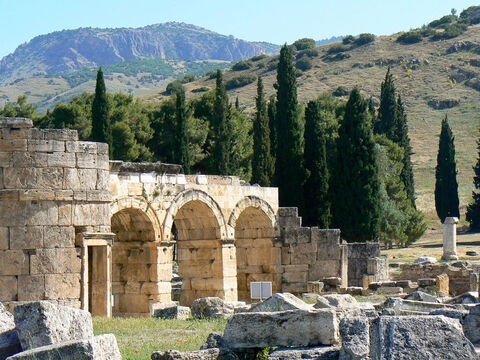 Zypressen hinter dem Domitian-Tor in Heirapolis in der Türkei.<br/>Mittelmeer- oder immergrüne Zypresse (Cupressus sempervirens).<br/>Dieser auffällige Baum, der im Mittelmeerraum so häufig vorkommt, wird in der Bibel nicht namentlich erwähnt, ist aber ein wahrscheinlicher Kandidat für die Herstellung des Holzes des Kreuzes. Die Säulenform mit ihrem zigarrenförmigen Aussehen macht sie sofort erkennbar. Sie hat eine lange Geschichte oder Verbindung mit Friedhöfen und besonderen Orten, aber der Grund, warum es das Holz des Kreuzes gewesen sein könnte, liegt darin, dass es sich um einen gewöhnlichen Baum mit geradem Stamm handelte. Weitere Kandidaten wären Aleppo-Kiefer oder Kalabrische Kiefer.<br/>Die Unsicherheit bezüglich des Holzes besteht darin, dass es so wenige archäologische Beweise für eine Kreuzigung gibt, obwohl es in der klassischen Literatur zahlreiche Hinweise auf diese schreckliche Hinrichtungsmethode gibt. Holz überlebt den Bodenkontakt nicht lange, daher können wir nicht damit rechnen, alte Kreuze zu finden. Das einzige archäologische Fundstück, das etwas Licht ins Dunkel bringt, war die Entdeckung der Knochen eines gekreuzigten Mannes, in dessen Knöchelknochen noch ein Nagel steckte. Am Kopfende des Nagels befand sich eine kleine Scheibe oder „Unterlegscheibe“ aus Olivenholz. Sollte das Opfer dadurch daran gehindert werden, seinen Fuß zu befreien, oder, was wahrscheinlicher ist, war es, um den Blutfluss zu stoppen und so den Tod zu verlängern und weitere Qualen zu verursachen?<br/>Für die Arche Noah wurde möglicherweise Zypressenholz verwendet, da der Begriff „Gopher-Holz“ auch harzig bedeutet hat, d. h. ein Nadelbaum, Pech zum Abdichten usw. – Folie 7