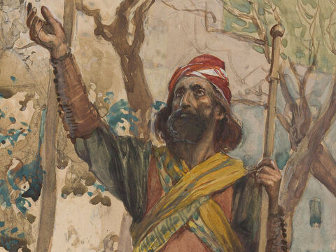 Die Prophezeiungen Sacharjas sind genau datiert:<br/>1,1: 27. Okt. – 24. Nov. 520 v. Chr.<br/>1,7: 15. Februar 519 v. Chr.<br/>7,1: 7. Dezember 518 v. Chr. – Folie 22