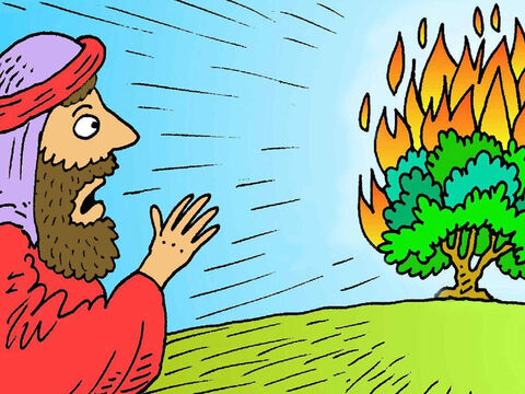 Mose hütete gerade seine Schafe, als er eines Tages Feuer in einem kleinen Busch sah. Der Busch verbrannte aber nicht, so ging Mose näher heran und Gott sprach aus dem Busch zu Mose. – Folie 1