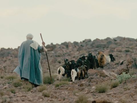 Mose hütete die Herde seines Schwiegervaters Jitro, des Priesters von Midian, und führte die Herde ans andere Ende der Wüste und kam zum Horeb, dem Berg Gottes. – Folie 2