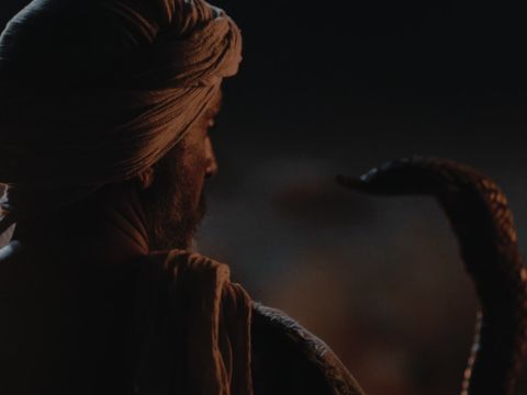 Da streckte Mose seine Hand aus und ergriff die Schlange, und sie verwandelte sich wieder in einen Stab in seiner Hand. „Damit sie glauben”, sagte der Herr, „dass der Herr, der Gott ihrer Väter, der Gott Abrahams, der Gott Isaaks und der Gott Jakobs, dir erschienen ist.” – Folie 12