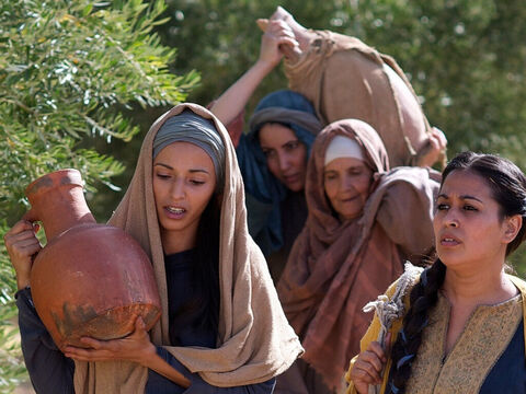 Um die Gerüche zu kontrollieren, wurde der Körper in ein Tuch gewickelt, in das viele Gewürze eingelegt wurden. Josef von Arimathäa und Nikodemus, der Jesus begrub, wickelten seinen Körper mit 75 Pfund Myrrhe und Aloe ein. Die Frauen, die das Grab Jesu besuchten, brachten weitere Gewürze mit, um seinen Körper zu salben. – Folie 12