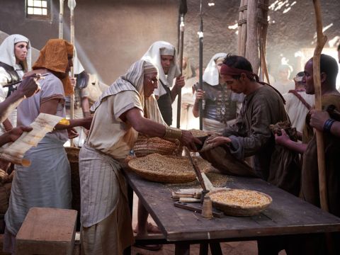 Als sich die Hungersnot über ganz Ägypten ausgebreitet hatte, öffnete Josef alle Vorratshäuser und verkaufte Getreide an die Ägypter. Und Menschen aus anderen Ländern kamen, um von Josef Getreide zu kaufen, weil die Hungersnot überall groß war. – Folie 2