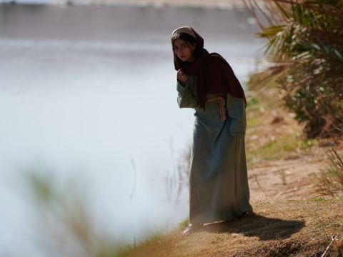 Seine Schwester Miriam versteckte sich in einiger Entfernung, um zu sehen, was mit ihm geschehen würde. – Folie 10