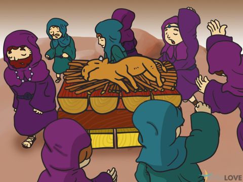 Die falschen Propheten bereiteten ihr Opfer vor und beteten vom Morgen bis zum Mittag zu Baal. Sie riefen: „Baal, antworte uns!” Doch es kam keine Antwort.<br/>Elia verspottete sie und rief: „Betet lauter! Vielleicht denkt Baal nach. Oder vielleicht ist er beschäftigt oder auf Reisen? Vielleicht schläft er, und ihr müsst ihn wecken!” Also beteten die Propheten lauter und mit wildem Tanz. Doch Baal antwortete nicht. – Folie 3