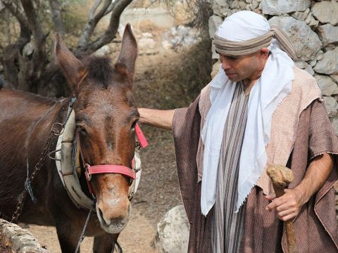 An diese Achsstange wurden häufiger Tiere angebunden. – Folie 15