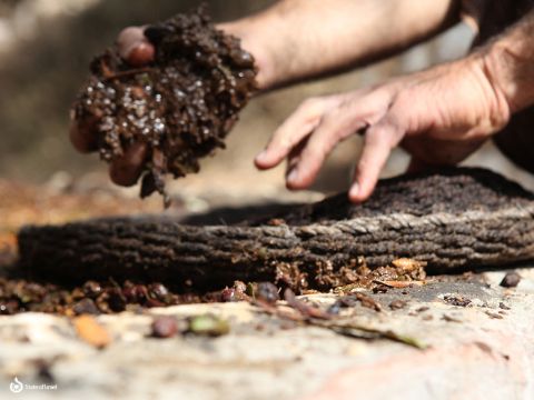 Dann wurden Gewichte verwendet, um den Brechstein auf die Körbe zu drücken und die Oliven zu Brei zu zerkleinern. – Folie 22