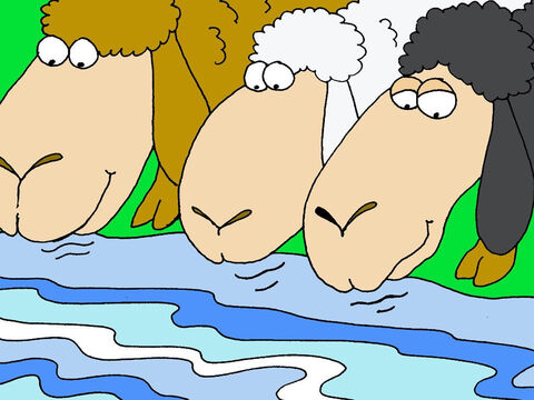 Er führt mich zu frischen Wasser.<br/>Schafe trinken kein Wasser, wenn es rauscht und sprudelt. Das bedeutet, dass Gott sich um jedes Detail meiner Bedürfnisse kümmert. – Folie 3