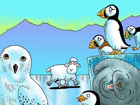 Der Boden fühlte sich sehr rutschig an. „Kennst du den Weg zu meinem Hirten?“, meckerte das kleine Lamm. „Nein“, sagten die Pinguine. Die Schneeeule schaute weg. Der Seehund lachte nur. – Folie 13