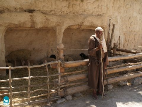 Hirten trugen einen Stecken, oft aus Eichenholz, manchmal mit eingeschlagenen Nägeln, um ihre Schafe vor wilden Tieren zu schützen (1. Samuel 17,34-36). Ein Hirte musste möglicherweise Wölfe, Löwen, Bären, Panther und Diebe davon abhalten, seine Herde anzugreifen. – Folie 4