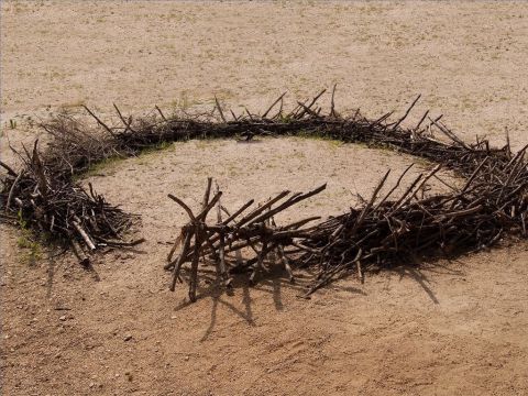 Unterwegs wurde ein provisorischer Schafstall aus Dornenbüschen oder Sträuchern gebaut (Hesekiel 34,14). – Folie 14