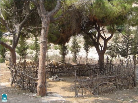 Zu anderen Zeiten wurden Schafe in Höhlen oder Gehege aus Holz, Zäunen oder Steinen gesperrt. – Folie 15