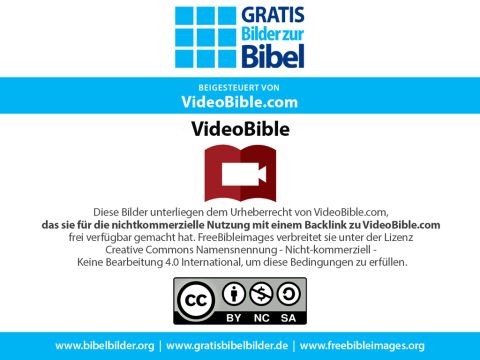 <p class="captionlinks"><a href="https://www.videobible.com" onclick="window.open(this.href);return false">Besuchen Sie die VideoBible Webseite</a></p>Folie 16