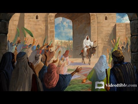 Am nächsten Tag hörte die große Menschenmenge, die zum Fest gekommen war, dass Jesus auf dem Weg nach Jerusalem war. Sie nahmen Palmzweige und gingen ihm entgegen und riefen „Hosianna!“<br/>„Gesegnet sei der, der im Namen des Herrn kommt!<br/>Gesegnet sei der König von Israel!“<br/>Jesus fand einen jungen Esel und setzte sich darauf, wie geschrieben steht: „Fürchte dich nicht, Tochter Zion. Siehe, dein König kommt, sitzend auf einem Eselsfohlen.”<br/>Seine Jünger verstanden das alles zunächst nicht. Erst nachdem Jesus verherrlicht worden war, wurde ihnen klar, dass diese Dinge über ihn geschrieben und dass diese Dinge ihm angetan worden waren.<br/>Johannes 12,12-16 – Folie 1