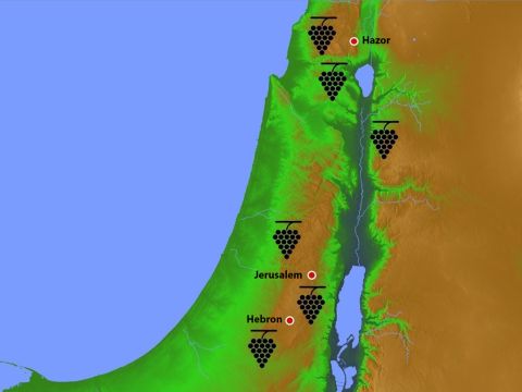 Im alten Israel waren die bevorzugten Orte für den Weinanbau in der Nähe von Hebron und in Obergaliläa. In Eschkol in der Nähe von Hebron schnitten die zwölf nach Kanaan ausgesandten Kundschafter einen Zweig mit einer Weinrebe ab. – Folie 5