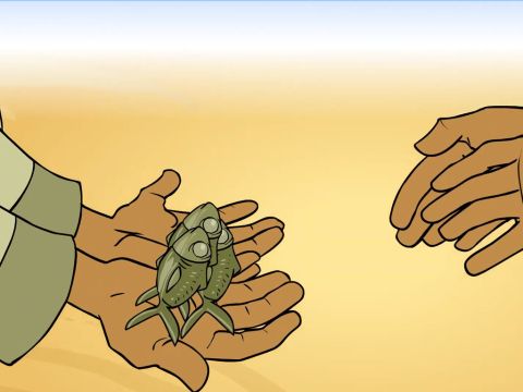 Sie hatten auch ein paar kleine Fische … – Folie 13